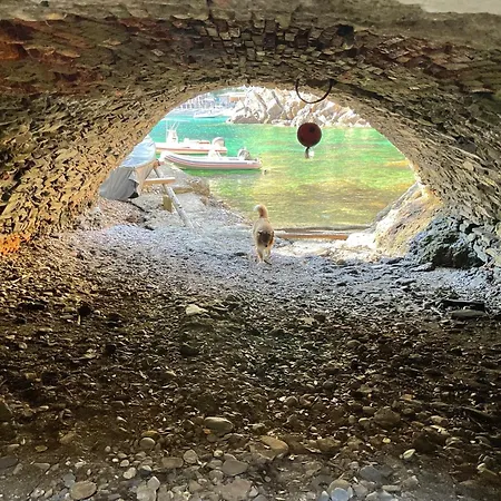 Casa Dell'arco 31 * Camogli