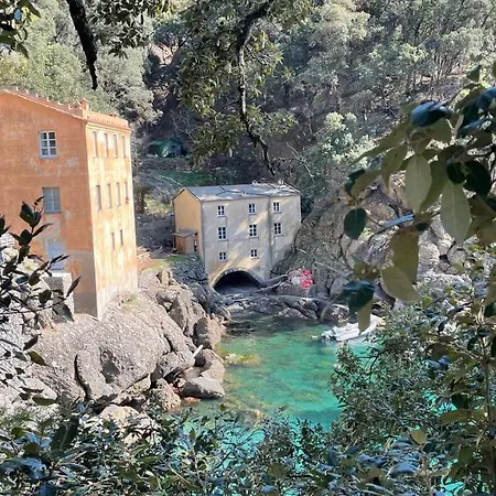 Casa Dell'arco 31 * Camogli