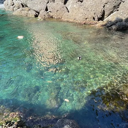 Casa Dell'arco 31 Camogli